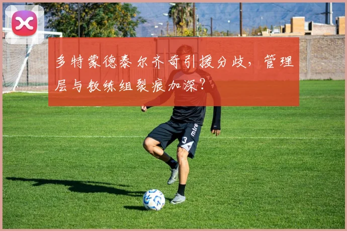 多特蒙德泰尔齐奇引援分歧,管理层与教练组裂痕加深?